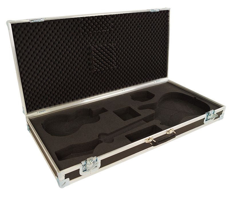 Fender Telecaster & G-sharp - Flightcase
