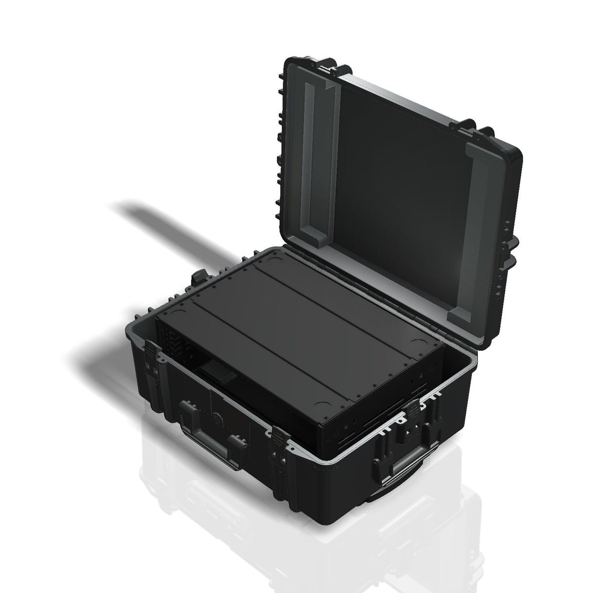 PTS AluPro 4U Lite Flyrack